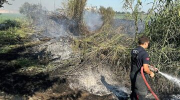 Aydın Büyükşehir Belediyesi İtfaiye Daire Başkanlığı ekipleri hızlı bir şekilde müdahale ederek kontrol altına aldı