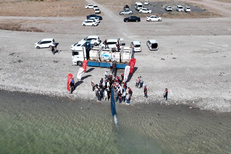 Başkan Çolakbayraktar: ‘İç denizimiz Yamula’ya 800 bin yavru sazan bıraktık’’