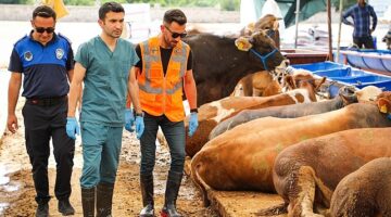 Buca’da kurban pazarlarında sıkı denetim