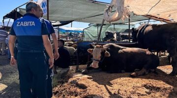 Çiğli Belediyesi Bayram Boyunca Denetimlerini Sürdürüyor