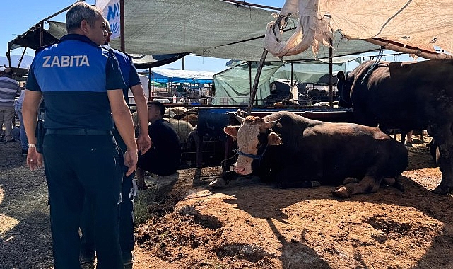 Çiğli Belediyesi Bayram Boyunca Denetimlerini Sürdürüyor