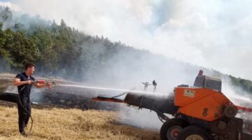 Edirne’de anız yangını ormana sıçradı