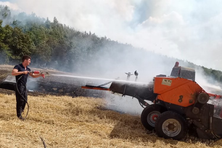 Edirne’de anız yangını ormana sıçradı