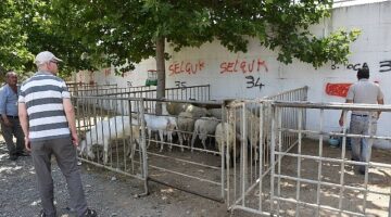 Edremit Belediyesi Kurban Bayramı’na hazır