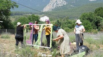 Kemer’de lavanta tanıtım etkinlikleri başlıyor