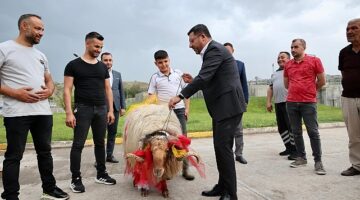 Nevşehir Belediye Başkanı Rasim Arı, Kurban Bayramı’nda ihtiyaç sahibi ailelere kurban eti dağıtımı için başlatılan kampanyaya destek veren tüm hayırseverlere teşekkür etti