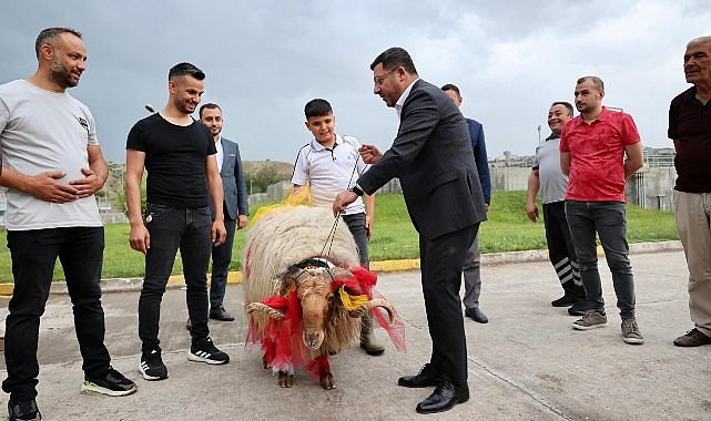 Nevşehir Belediye Başkanı Rasim Arı, Kurban Bayramı’nda ihtiyaç sahibi ailelere kurban eti dağıtımı için başlatılan kampanyaya destek veren tüm hayırseverlere teşekkür etti