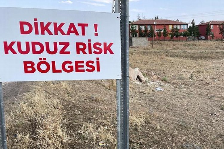 Niğde’de kuduz karantinası!