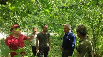 Son zamanlarda yüksek seyreden hava sıcaklığında yaşanan ani düşüş ve beraberinde gelen rüzgarlı ve yağışlı hava, bir çok bölgede olduğu gibi Kandıra’da etkisini gösterdi