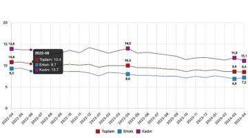 Tüik: Mevsim etkisinden arındırılmış işsizlik oranı %8,5 seviyesinde gerçekleşti