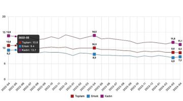 Tüik: Mevsim etkisinden arındırılmış işsizlik oranı %8,5 seviyesinde gerçekleşti