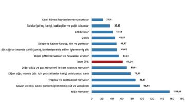 Tüik: Tarım ürünleri üretici fiyat endeksi (Tarım-ÜFE) yıllık %61,24 arttı, aylık %0,91 azaldı