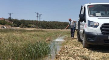 Veterinerlik İşleri Müdürlüğü larvasit mücadelesini sürdürüyor