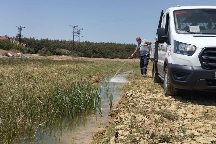 Veterinerlik İşleri Müdürlüğü larvasit mücadelesini sürdürüyor