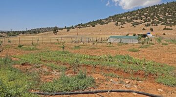 Antalya Büyükşehir Belediyesi arıtma suyunu tarımda kullandı