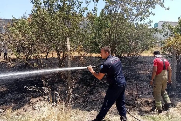 Bursa Yolçatı’da yeniden yangın başladı