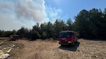 İzmir İtfaiyesi 4 ilçede yangınlara müdahale ediyor