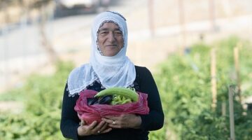 Mahalle bostanında hasat zamanı