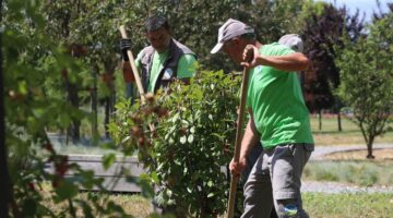 Sakarya’nın dört bir yanında estetik çalışmalar