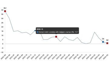 Tüik: Hizmet üretim endeksi yıllık %0,8 arttı