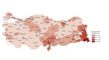 Tüik: İl Düzeyinde İşgücü İstatistikleri, 2023