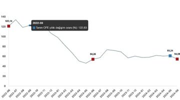 Tüik: Tarım ürünleri üretici fiyat endeksi (Tarım-ÜFE) yıllık %54,58 arttı, aylık %1,95 arttı