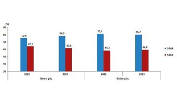 Tüik: Yurt dışından Türkiye’ye 316 bin 456 kişi göç etti