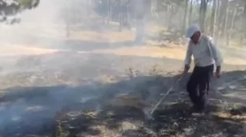 Bilecik’teki orman yangını korkuttu