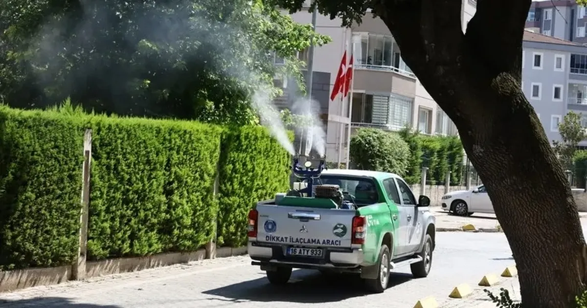 Bursa’da yetersiz ilaçlama, sinek istilasına kapı aralıyor