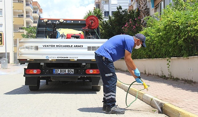 Büyükşehir vektörle mücadele çalışmasını aralıksız sürdürüyor