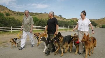 ‘Cesar Millan: İyi İnsan, İyi Köpek’ 12 Ağustos Pazartesi 20.00’de National Geographic WILD Ekranlarında!