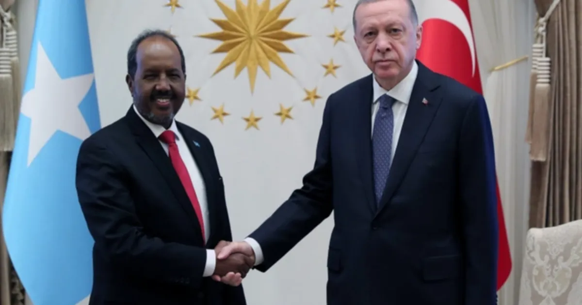 Cumhurbaşkanı Erdoğan, Somalili mevkidaşıyla görüştü