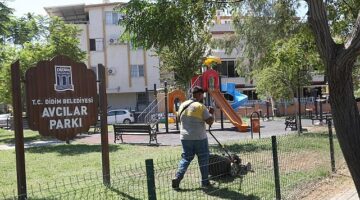 Didim Belediyesi Park Bahçeler Müdürlüğü ekipleri, ilçe genelinde çalışmalarına ara vermeden devam ediyor.