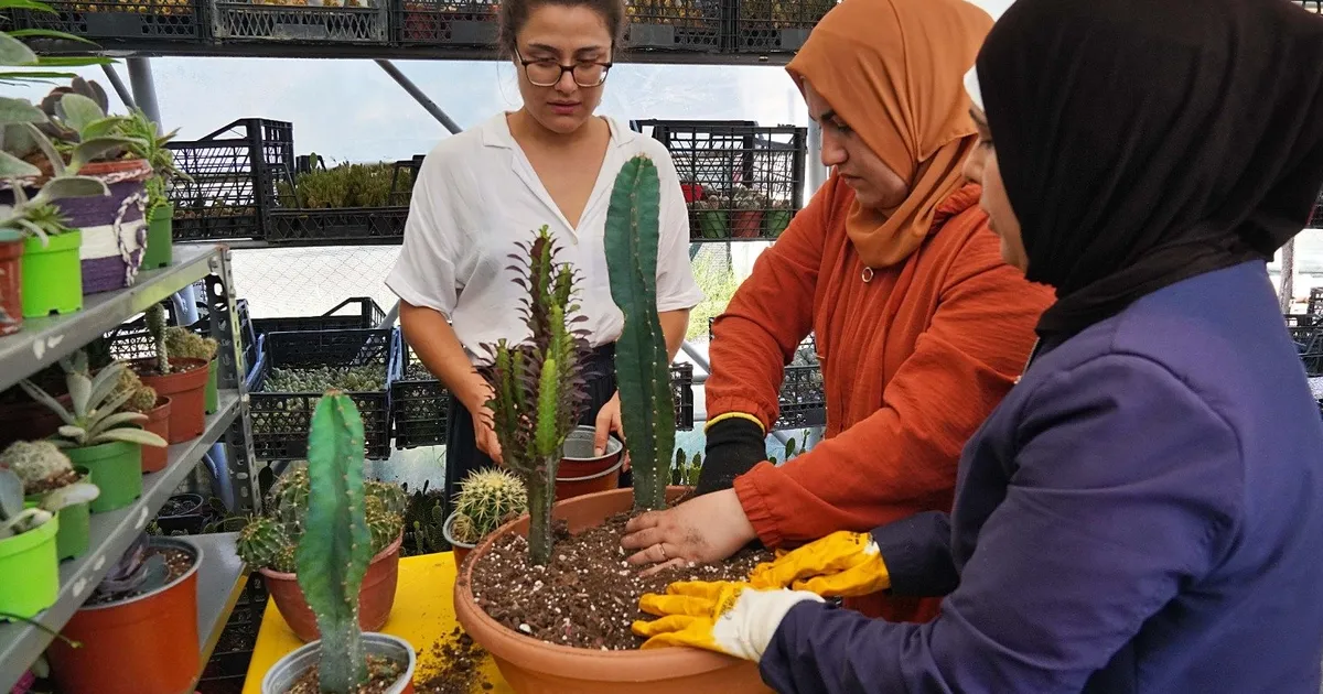 Hem tohumlar hem kadınlar güçleniyor