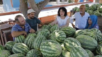 İzmir Büyükşehir Belediyesi ve Kınık Belediyesi’nden Çiftçilere Destek: Ürünler Tarlada Kalmadı, Vatandaşlara Dağıtıldı…