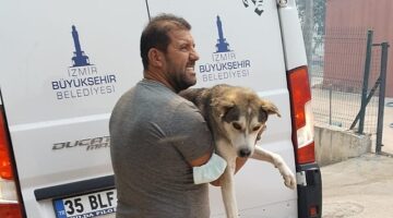 İzmir Büyükşehir Belediyesi’nin tüm birimleri yangında seferber oldu