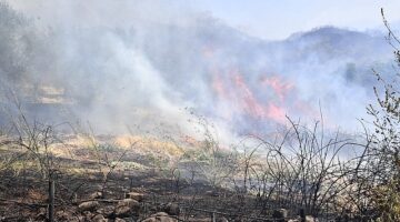 İzmir Yamanlar Dağı’nda çıkan yangınla mücadele sürüyor