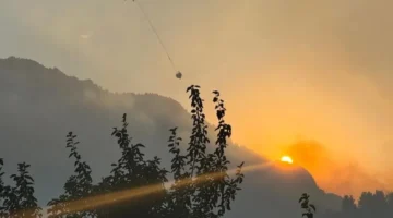 Kahramanmaraş’ta korkutan orman yangını kontrol altında