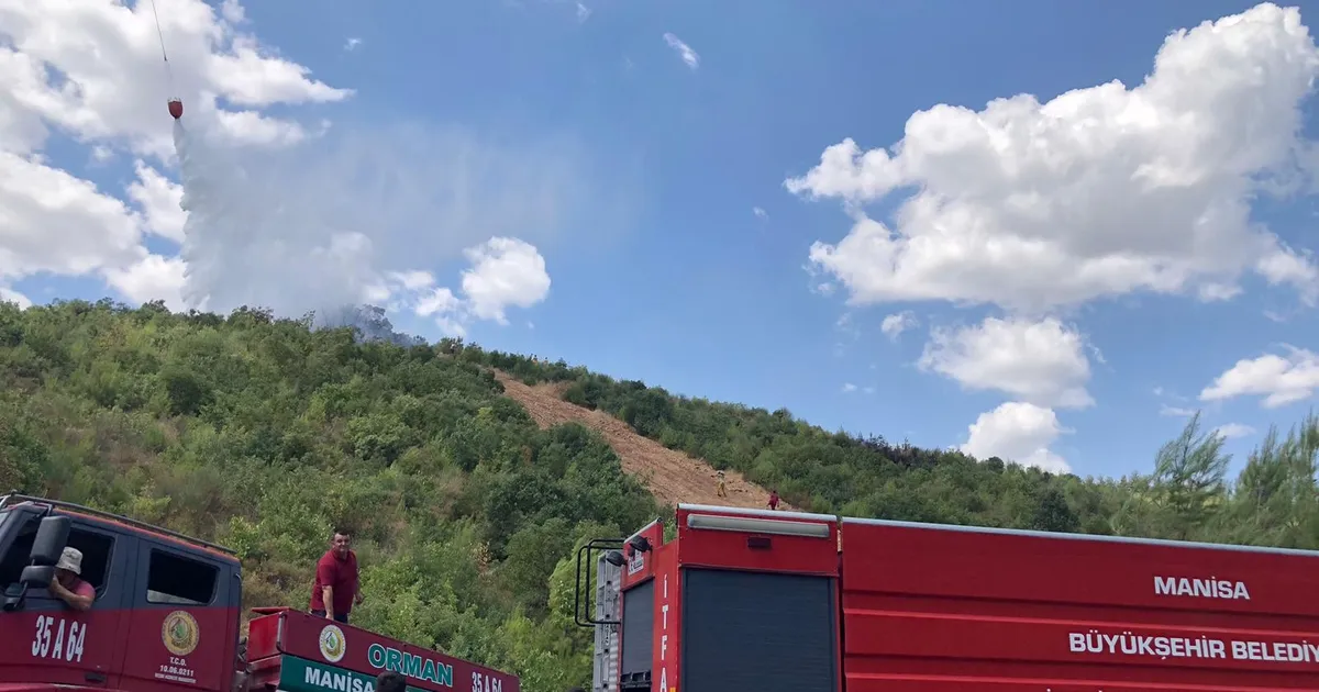 Manisa’da ormanlık alanda çıkan yangın söndürüldü 