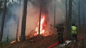 Muğla Büyükşehir orman yangınlarında tüm gücüyle sahada