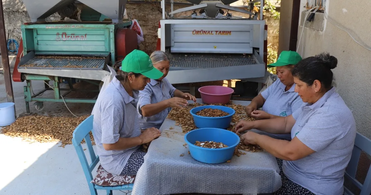 Muğla tarımı dünyaya açılıyor