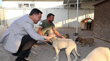 Nevşehir Belediye Başkanı Rasim Arı, Nevşehir’e yeni bir Hayvan Kasabası kazandırmak için çalışmalara başladıklarını açıkladı