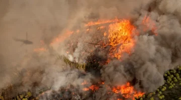 Orman yangınlarını önlemek işbirliği ile mümkün