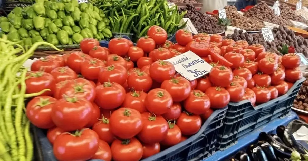 Pazar fiyatlarındaki düşüş, domatese de yansıdı