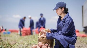 PepsiCo Türkiye’den 16 Ağustos Dünya Patates Gününde Yenileyici Tarımda Büyük Başarı: Patates Üretiminin %89’u Yenileyici Tarım Uygulamalarıyla Gerçekleşiyor