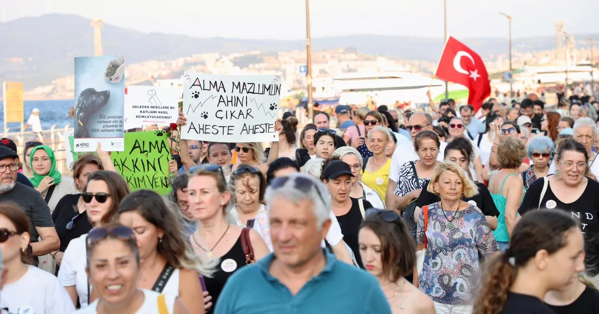 Sahipsiz hayvanlar için sesler Mudanya’dan yükseldi