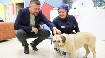 Saldırıya uğrayan can dostuna Buca Belediye Başkanı Duman’dan ziyaret