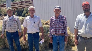 Salihli Belediyesi’nden Yangın Mağduru Vatandaşlara Yonca ve Kaba Yem Desteği