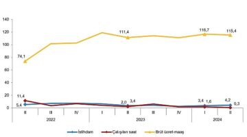 Tüik: İstihdam endeksi yıllık %4,2 arttı