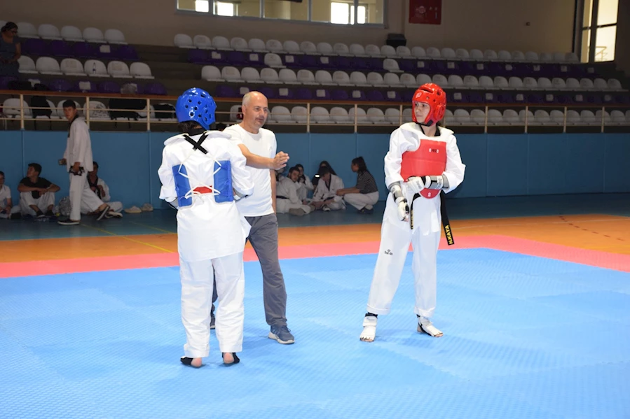 Taekwondo Müsabakaları Genç Yetenekleri Öne Çıkardı